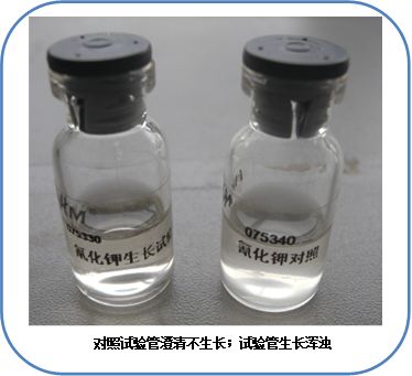 食品微生物檢驗(yàn)沙門氏菌檢驗(yàn)常用培養(yǎng)基原理解析