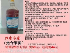 水產(chǎn)養(yǎng)殖必備的微生物菌劑種類及功能詳解