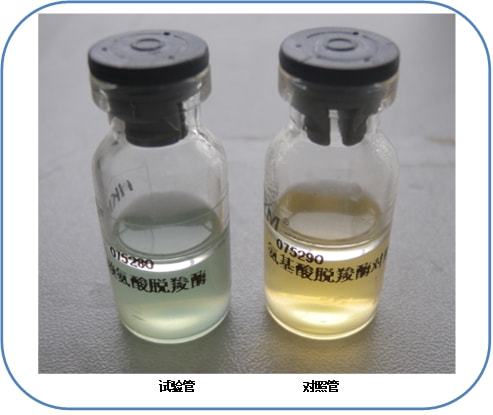 沙門氏菌檢驗(yàn)常用培養(yǎng)基原理解析與現(xiàn)代微生物菌劑應(yīng)用