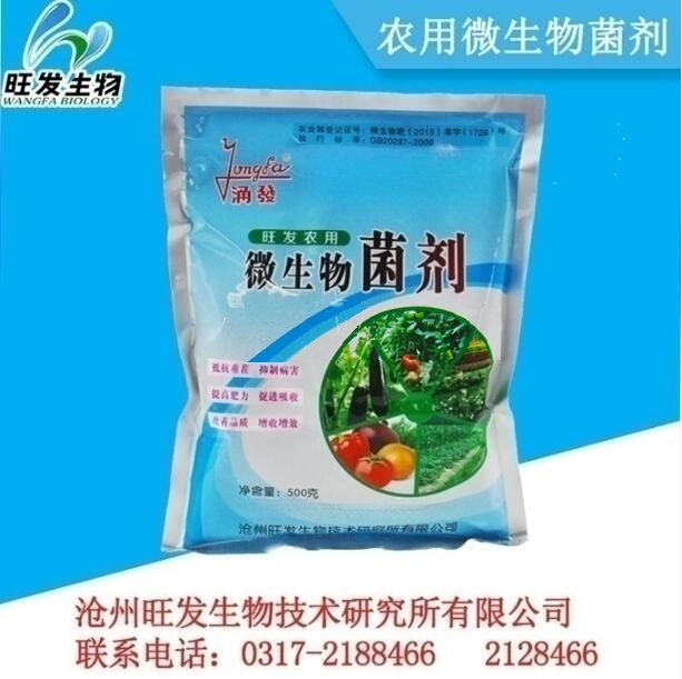 農(nóng)用微生物菌劑 土壤健康與作物增產(chǎn)的綠色動(dòng)力